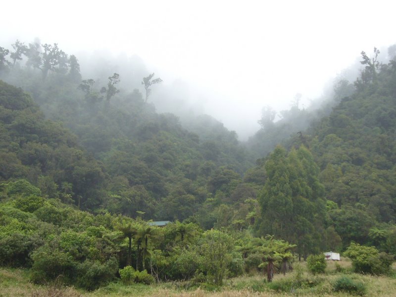 Travel - New Zealand - West Coast - South Edge West Coast